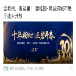 碧桂园凤城府  推广案例